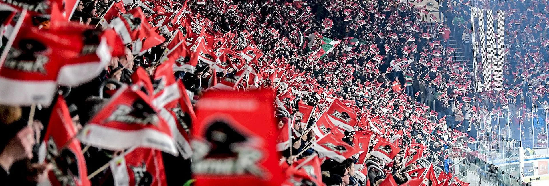 Ein Foto in den Fanblock der Augsburger Panther. Jeder hält eine rote Fahne der Augsburger Panther hoch und schwenkt sie.