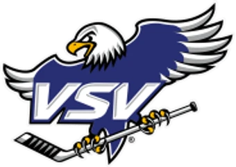 EC VSV